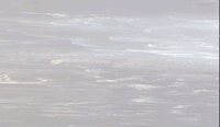 Tile-Top Anti-Microbial - Gray