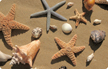 Beachcomber Mat