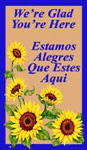 Bilingual Greeting 3' x 5' Classic Mat